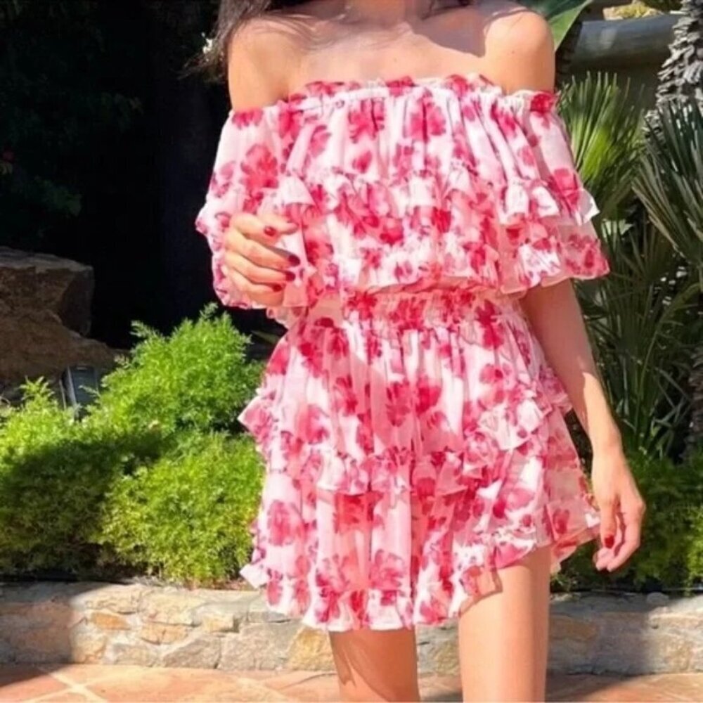 MISA LOS ANGELES Isella Floral Ruffle Georgette Mini Dress Pink White XS NWT